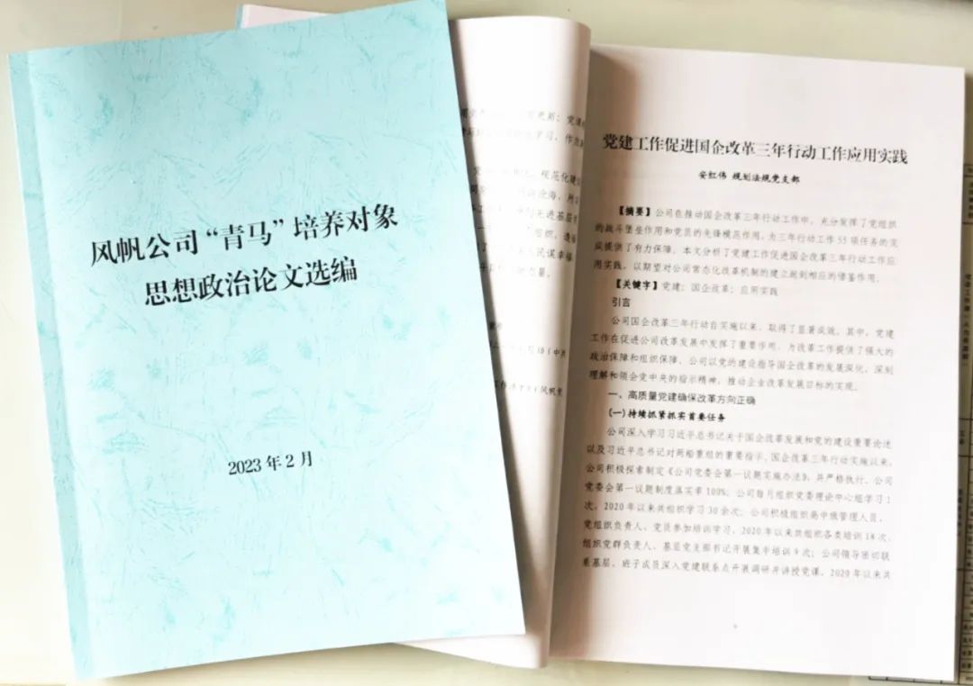 中國船舶風(fēng)帆公司“青馬”思政研究結碩果